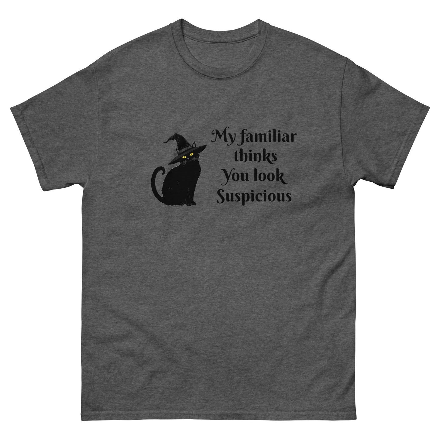 My Familiar Thinks You're Suspicious – Witchy clothes. grey